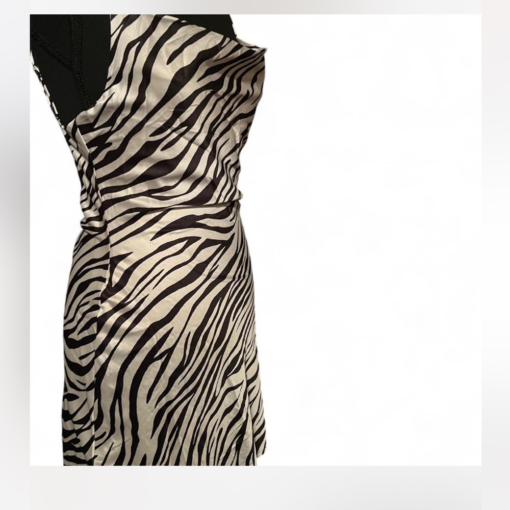 Princess Polly Zebra Print Dress - Black and White
